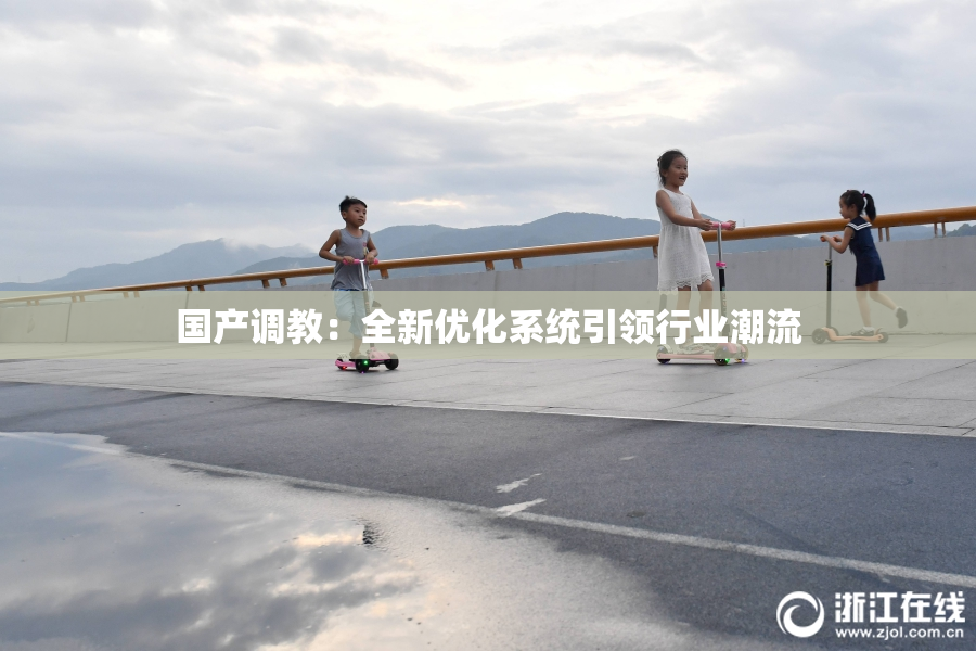 国产调教：全新优化系统引领行业潮流