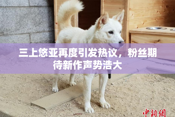 三上悠亚再度引发热议，粉丝期待新作声势浩大