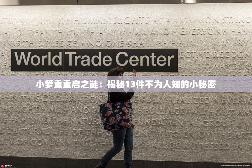小箩重重启之谜：揭秘13件不为人知的小秘密