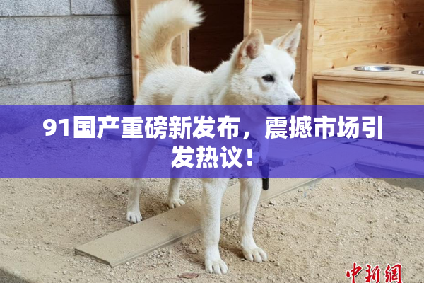 91国产重磅新发布，震撼市场引发热议！