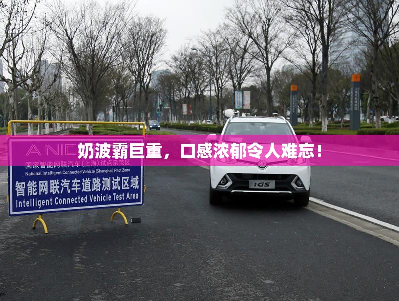 奶波霸巨重，口感浓郁令人难忘！