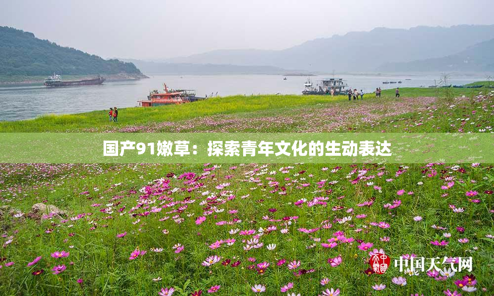国产91嫩草：探索青年文化的生动表达