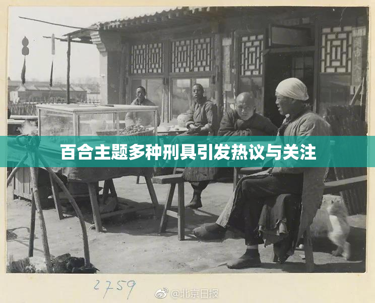 百合主题多种刑具引发热议与关注
