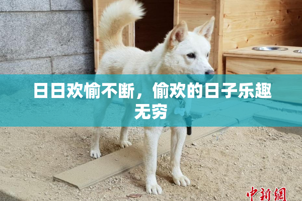 日日欢愉不断，偷欢的日子乐趣无穷