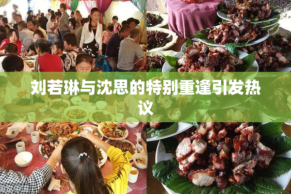 刘若琳与沈思的特别重逢引发热议