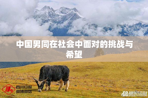 中国男同在社会中面对的挑战与希望