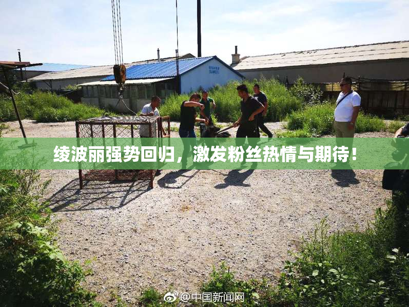 绫波丽强势回归，激发粉丝热情与期待！