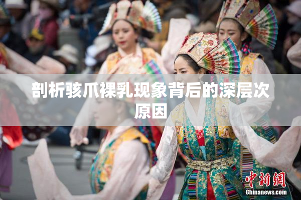 剖析骇爪裸乳现象背后的深层次原因