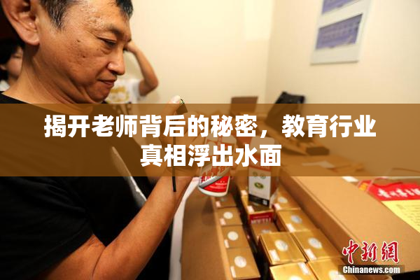 揭开老师背后的秘密，教育行业真相浮出水面