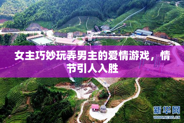 女主巧妙玩弄男主的爱情游戏，情节引人入胜