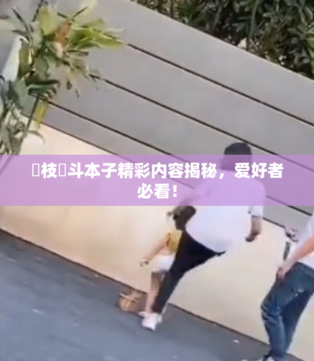 狛枝凪斗本子精彩内容揭秘，爱好者必看！