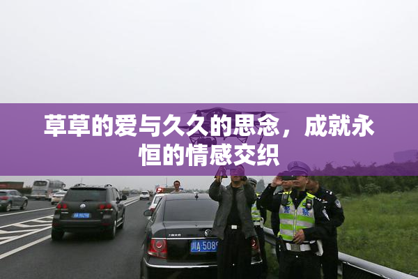 草草的爱与久久的思念，成就永恒的情感交织