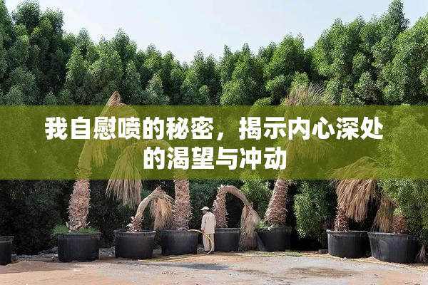 我自慰喷的秘密，揭示内心深处的渴望与冲动