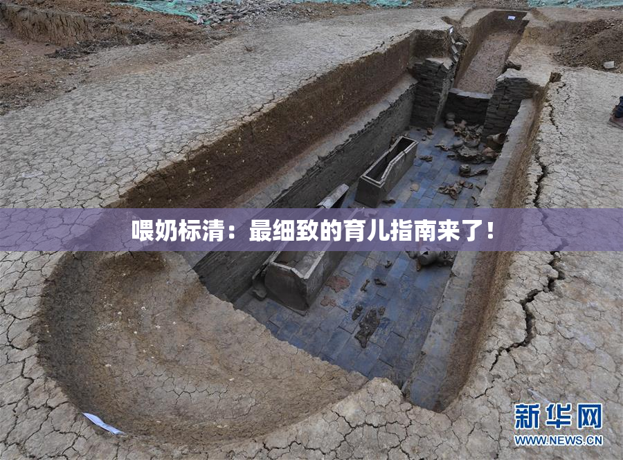 喂奶标清：最细致的育儿指南来了！