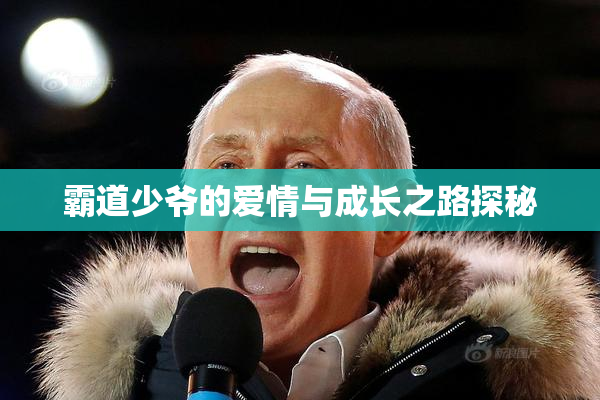 霸道少爷的爱情与成长之路探秘