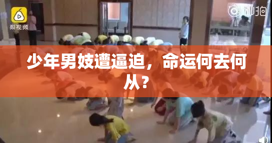 少年男妓遭逼迫，命运何去何从？