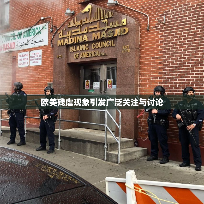欧美残虐现象引发广泛关注与讨论