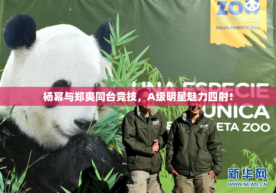 杨幂与郑爽同台竞技，A级明星魅力四射！