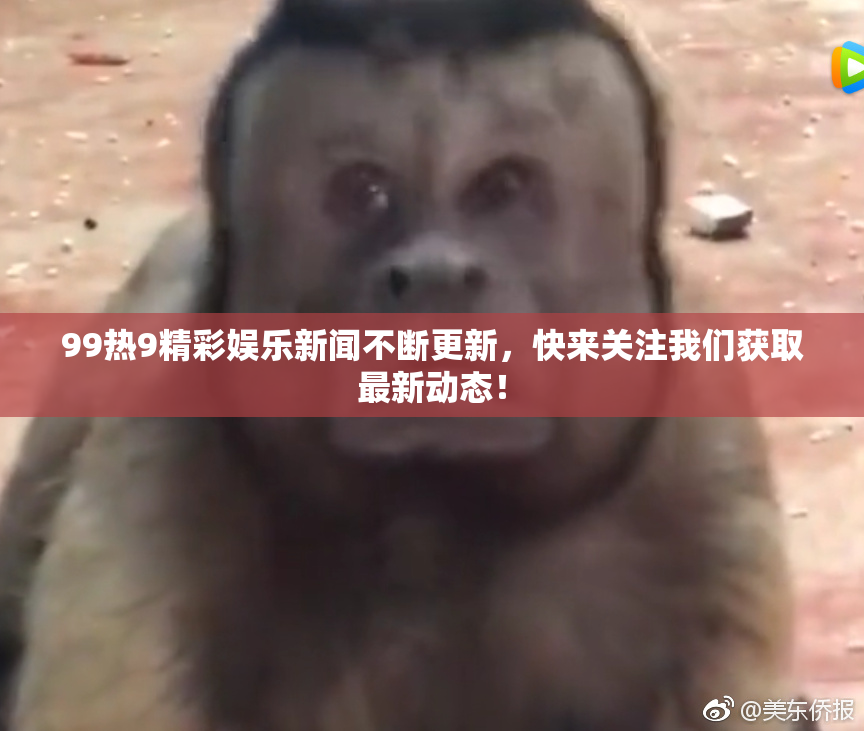 99热9精彩娱乐新闻不断更新，快来关注我们获取最新动态！