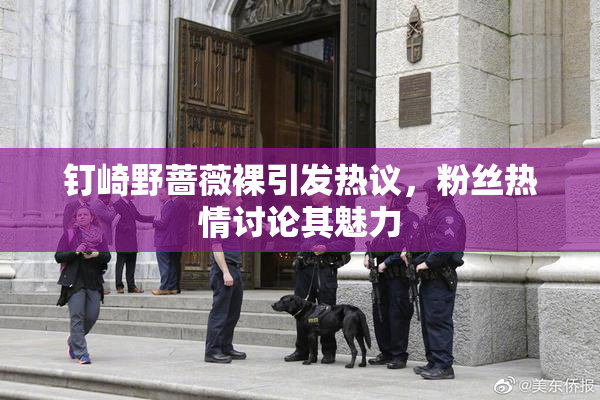 钉崎野蔷薇裸引发热议，粉丝热情讨论其魅力
