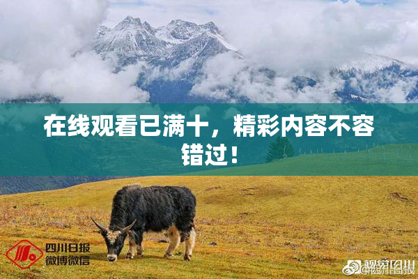 在线观看已满十，精彩内容不容错过！