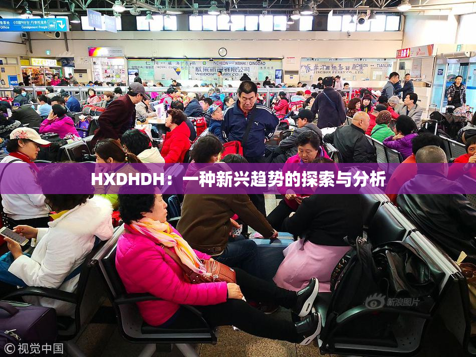 HXDHDH：一种新兴趋势的探索与分析
