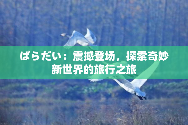 ぱらだい：震撼登场，探索奇妙新世界的旅行之旅