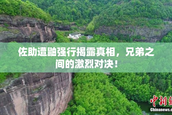 佐助遭鼬强行揭露真相，兄弟之间的激烈对决！