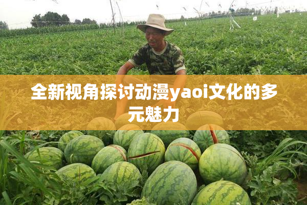 全新视角探讨动漫yaoi文化的多元魅力