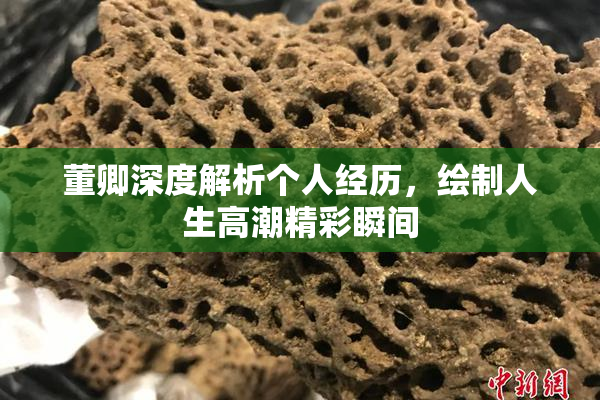 董卿深度解析个人经历，绘制人生高潮精彩瞬间