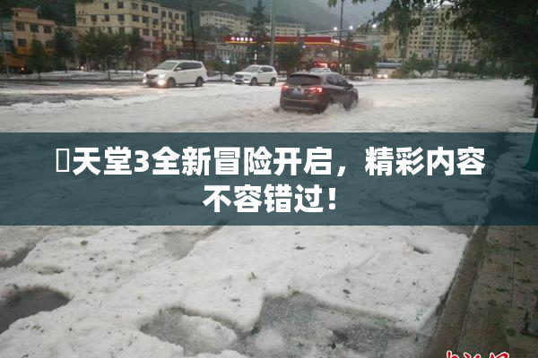 妺天堂3全新冒险开启，精彩内容不容错过！