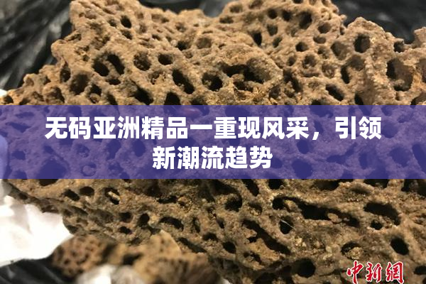 无码亚洲精品一重现风采，引领新潮流趋势