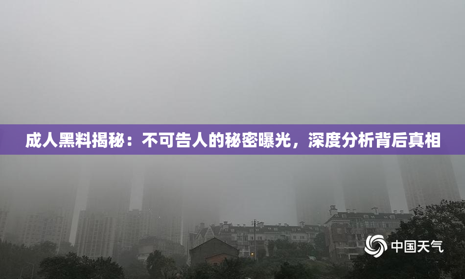 成人黑料揭秘：不可告人的秘密曝光，深度分析背后真相