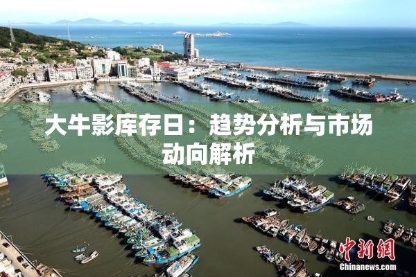 大牛影库存日：趋势分析与市场动向解析