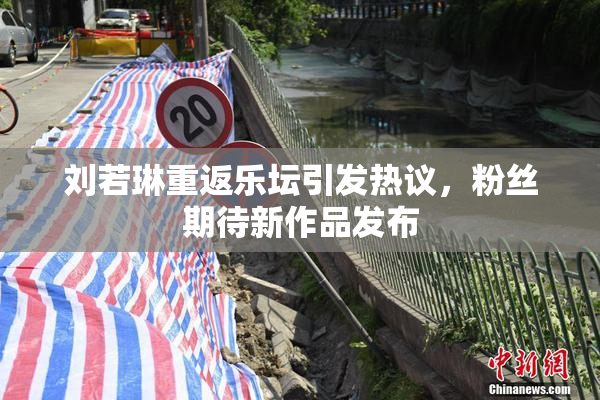刘若琳重返乐坛引发热议，粉丝期待新作品发布