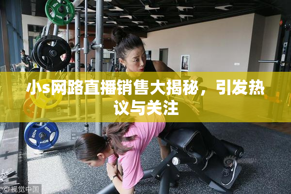 小s网路直播销售大揭秘，引发热议与关注