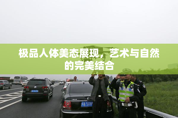 极品人体美态展现，艺术与自然的完美结合