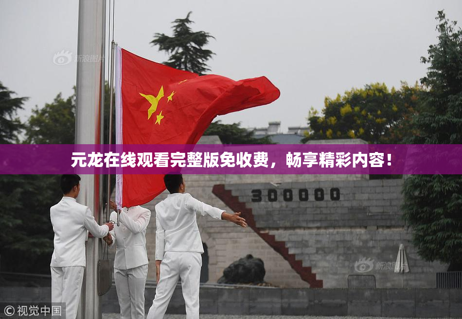 元龙在线观看完整版免收费，畅享精彩内容！