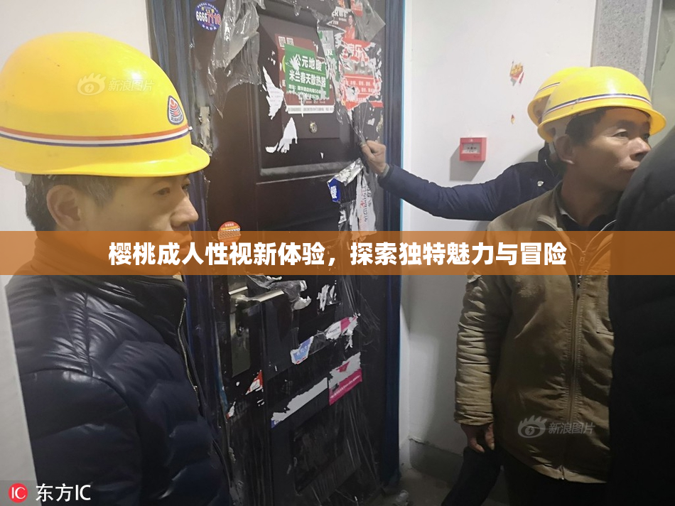 樱桃成人性视新体验，探索独特魅力与冒险