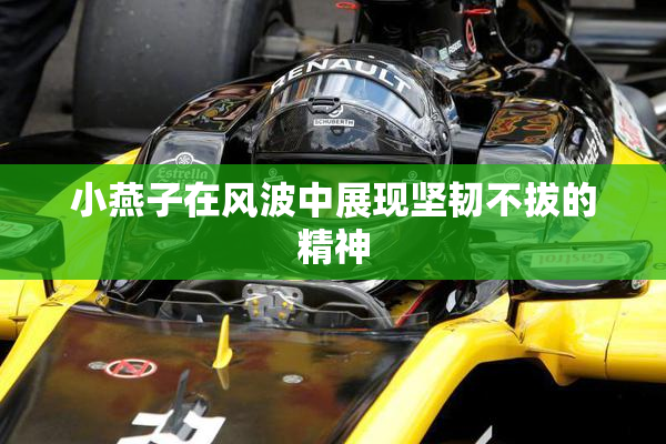 小燕子在风波中展现坚韧不拔的精神