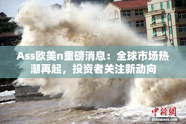 Ass欧美n重磅消息：全球市场热潮再起，投资者关注新动向