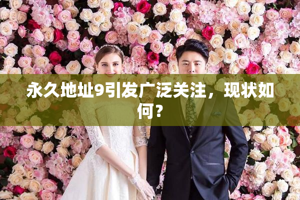 永久地址9引发广泛关注，现状如何？