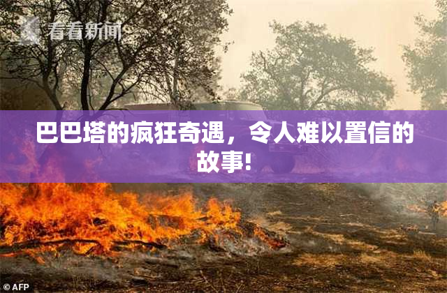 巴巴塔的疯狂奇遇，令人难以置信的故事!