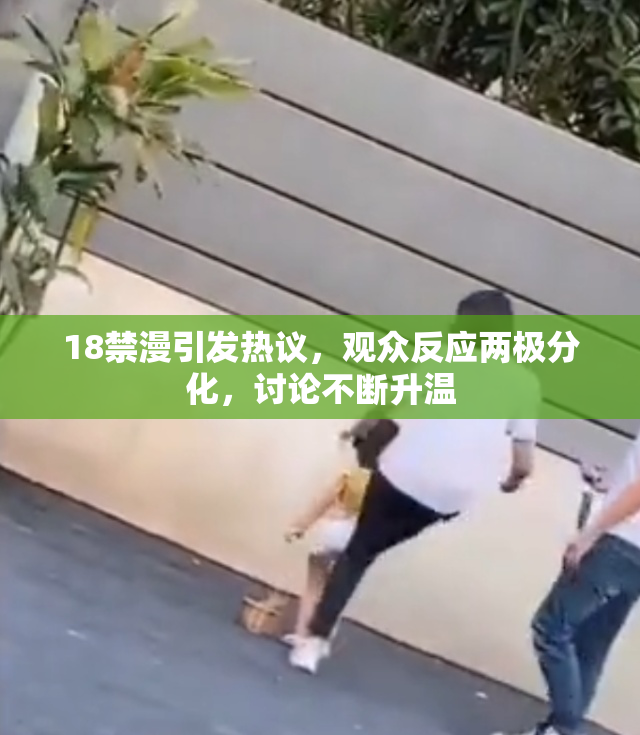 18禁漫引发热议，观众反应两极分化，讨论不断升温
