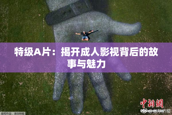 特级A片：揭开成人影视背后的故事与魅力