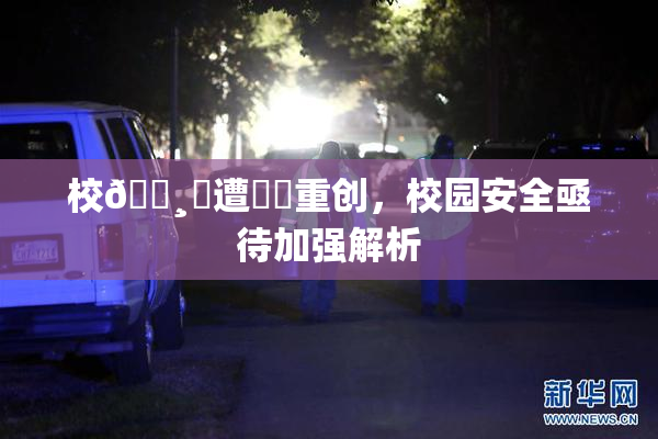 校🌸‌遭❌‌重创，校园安全亟待加强解析