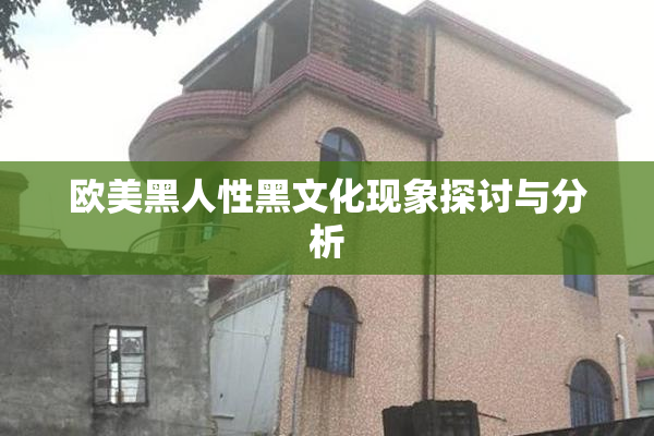 欧美黑人性黑文化现象探讨与分析