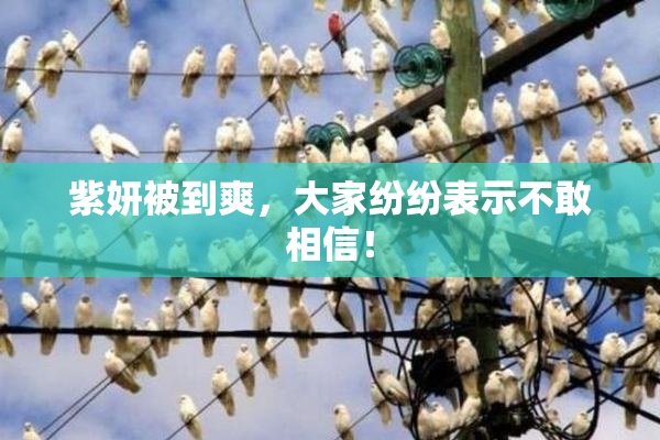 紫妍被到爽，大家纷纷表示不敢相信！