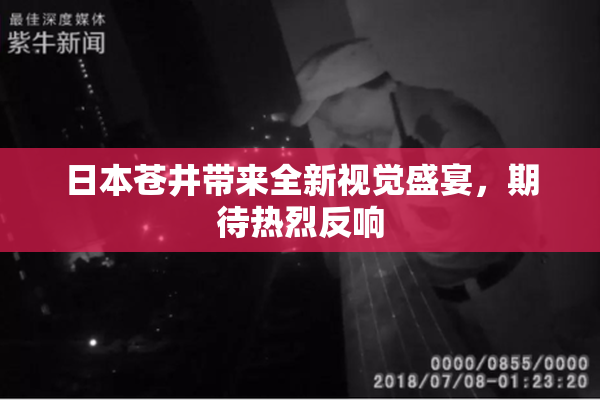 日本苍井带来全新视觉盛宴，期待热烈反响