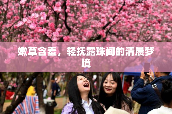 嫩草含羞，轻抚露珠间的清晨梦境